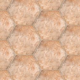 Symmetry 8x9 Hexagon Journey Coto