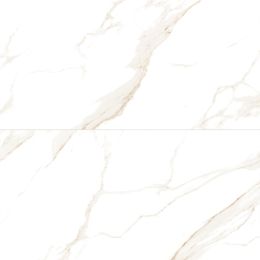 Artistry 24X48 Polished Statuary Beige