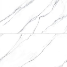 Reflections 24X48 Carrara