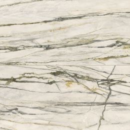 Versace Maximvs 24X48 Polished Calacatta Green